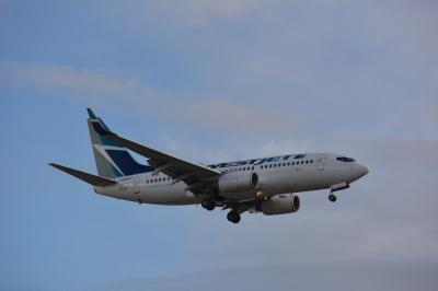 Image of aircraft registration C-GWSH - A 737-76N(WL) operated by Westjet