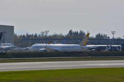 Image of aircraft registration 9V-OJI - A 787-9 Dreamliner operated by Scoot