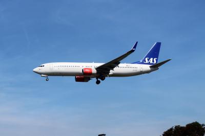 Image of aircraft registration LN-RGF - A 737-86N(WL) operated by SAS Scandinavian Airlines