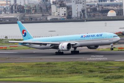Photo of aircraft HL8217 operated by Korean Air Lines