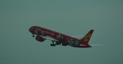 Photo of aircraft B-6998 operated by Hainan Airlines