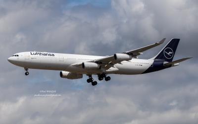 Image of aircraft registration D-AIGY - A A340-313 operated by Lufthansa