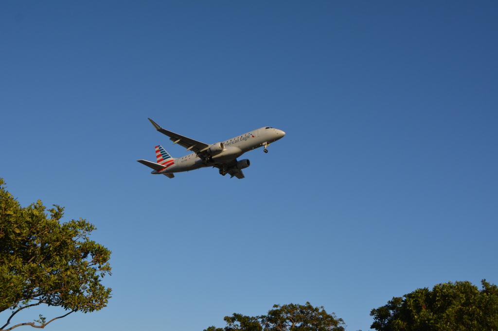 Photo of aircraft N217NN operated by American Eagle