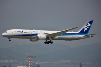 Photo of aircraft JA897A operated by All Nippon Airways