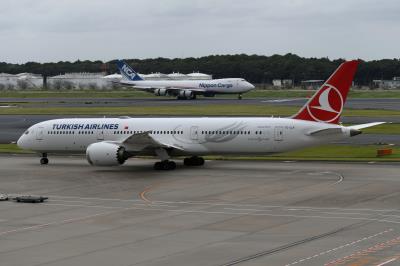 Photo of aircraft TC-LLK operated by Turkish Airlines