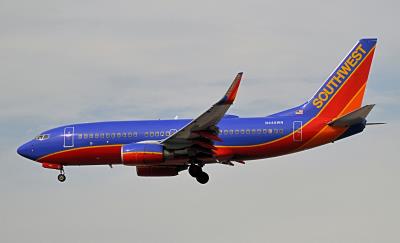 Image of aircraft registration N445WN - A 737-7H4(WL) operated by Southwest Airlines