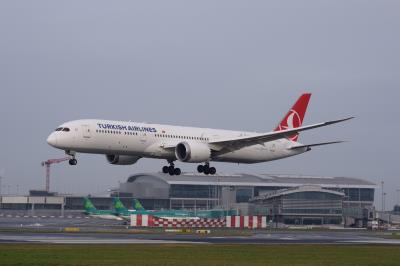 Photo of aircraft TC-LLD operated by Turkish Airlines