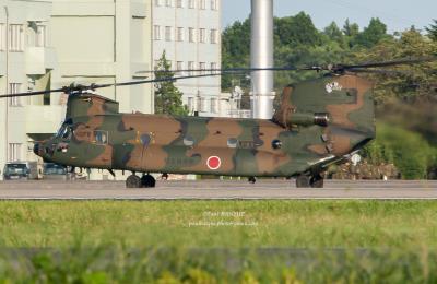 Photo of aircraft 52959 (JG-2959) operated by Japan Ground Self-Defence Force (JGSDF)