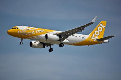 Photo of aircraft 9V-TRH operated by Scoot