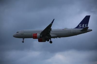 Photo of aircraft SE-ROO operated by SAS Scandinavian Airlines