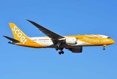 Photo of aircraft 9V-OFI operated by Scoot