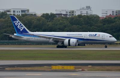 Photo of aircraft JA829A operated by All Nippon Airways