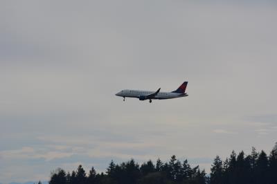 Photo of aircraft N256SY operated by Delta Connection
