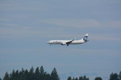Photo of aircraft N307AS operated by Alaska Airlines