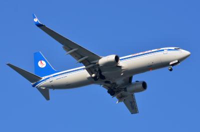 Image of aircraft registration EW-438PA - A 737-86Q(WL) operated by Belavia