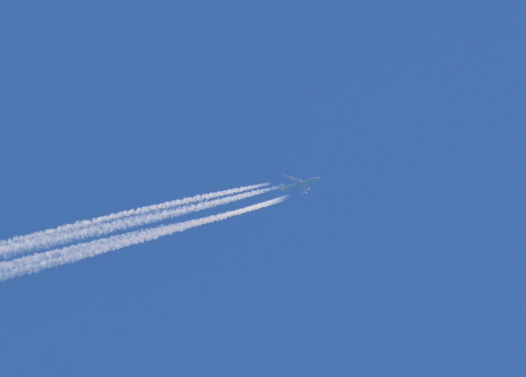 Photo of aircraft B-16483 operated by EVA Air
