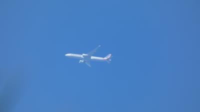 Photo of aircraft N779AN operated by American Airlines