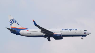 Image of aircraft registration TC-SOD - A 737-800(WL) operated by SunExpress