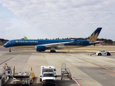 Photo of aircraft VN-A890 operated by Vietnam Airlines
