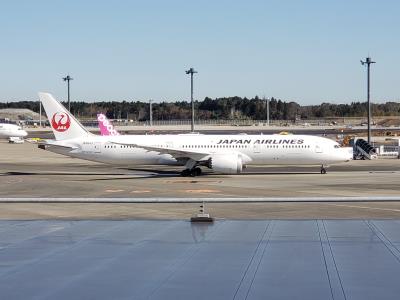 Image of aircraft registration JA864J - A 787-9 Dreamliner operated by Japan Airlines