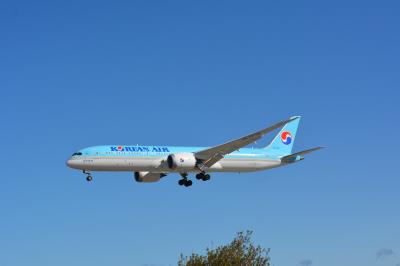 Photo of aircraft HL7208 operated by Korean Air Lines