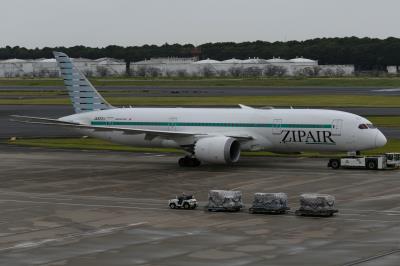 Photo of aircraft JA822J operated by ZIPAIR Tokyo