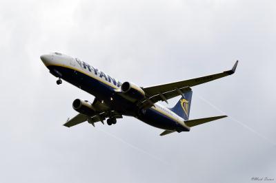 Photo of aircraft EI-DAM operated by Ryanair