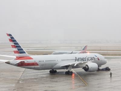 Image of aircraft registration N819AN - A 787-8 Dreamliner operated by American Airlines