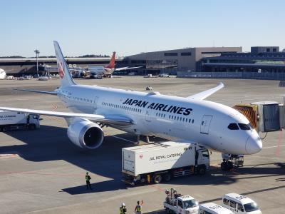 Image of aircraft registration JA866J - A 787-9 Dreamliner operated by Japan Airlines