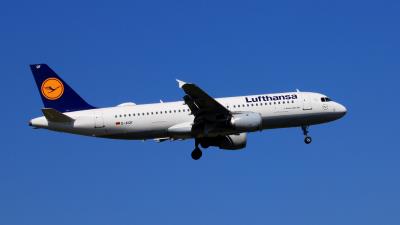 Photo of aircraft D-AIQF operated by Lufthansa