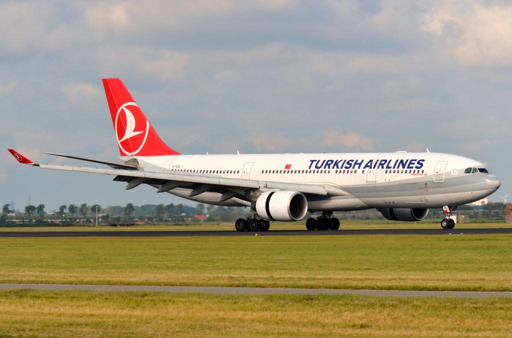Photo of aircraft EI-EZL operated by Turkish Airlines