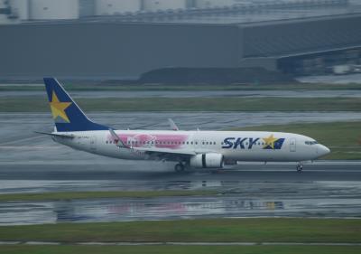 Photo of aircraft JA73NJ operated by Skymark Airlines
