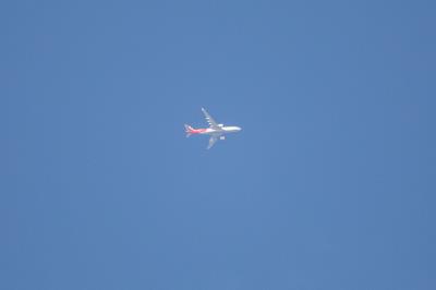 Photo of aircraft TC-JNB operated by Turkish Airlines