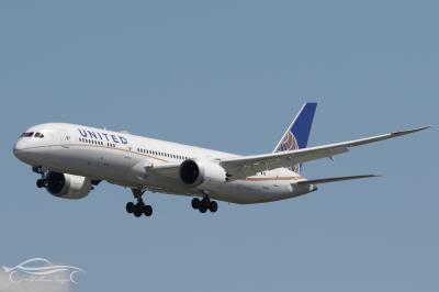Photo of aircraft N19951 operated by United Airlines