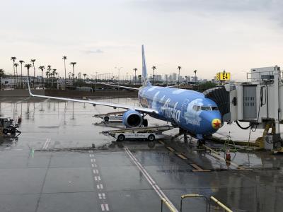 Image of aircraft registration N537AS - A 737-890(WL) operated by Alaska Airlines