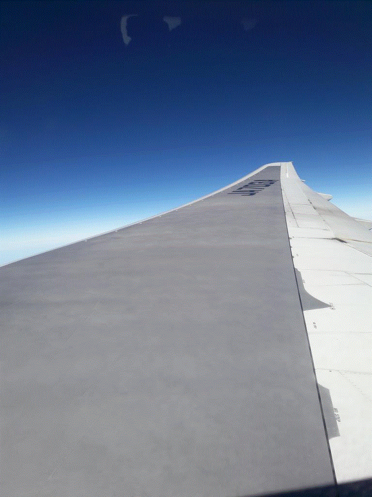 Photo of aircraft JA703A operated by ANA All Nippon Airways