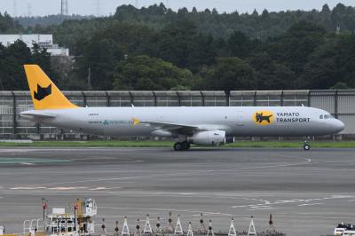 Photo of aircraft JA81YA operated by Yamato Transport