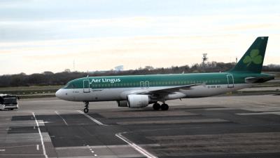 Photo of aircraft EI-DVE operated by Aer Lingus