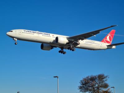 Photo of aircraft TC-JJN operated by Turkish Airlines