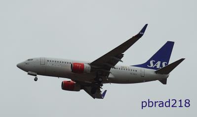 Image of aircraft registration SE-REU - A 737-76N(WL) operated by SAS Scandinavian Airlines