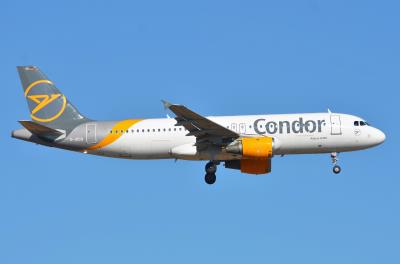 Photo of aircraft D-AICC operated by Condor