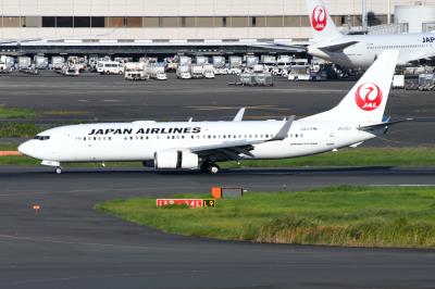 Photo of aircraft JA315J operated by Japan Airlines