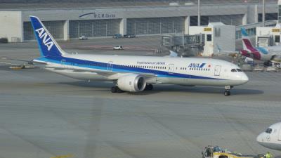 Photo of aircraft JA891A operated by All Nippon Airways