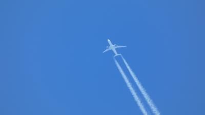 Photo of aircraft EC-NZF operated by Corendon Dutch Airlines