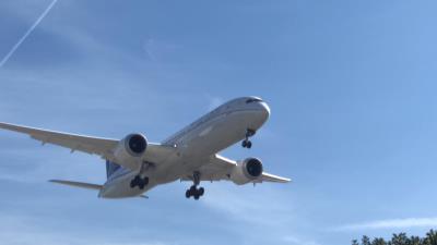Image of aircraft registration N24972 - A 787-9 Dreamliner operated by United Airlines