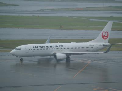 Photo of aircraft JA342J operated by Japan Airlines