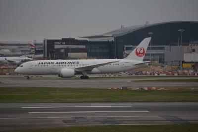 Image of aircraft registration JA837J - A 787-8 Dreamliner operated by Japan Airlines
