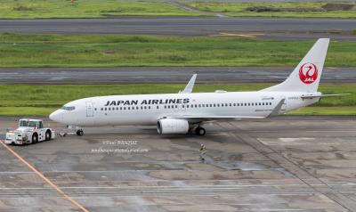 Photo of aircraft JA302J operated by Japan Airlines