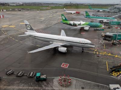 Image of aircraft registration EI-DVM - A A320 operated by Aer Lingus