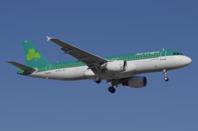 Image of aircraft registration EI-DEJ - A A320-214 operated by Aer Lingus